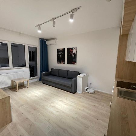 Amethyst Luxury Apartment Palace Bukarest Exterior foto